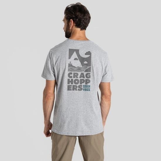 Craghoppers Lucent Short Sleeved T-Shirt - Soft Grey Marl Landscape