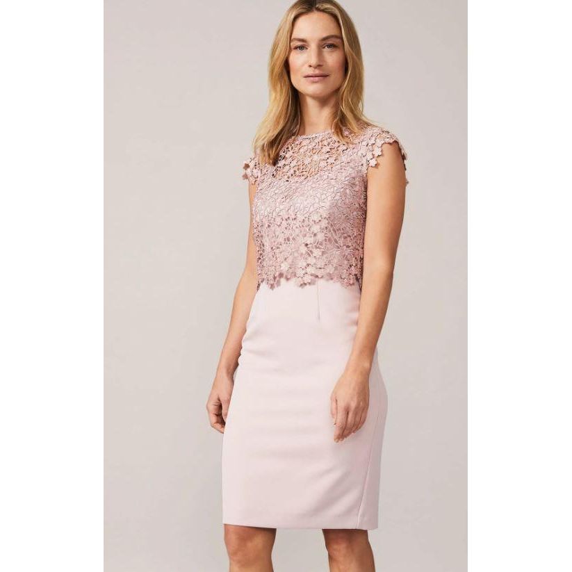 Phase Eight Mariposa Dress - Antique Rose
