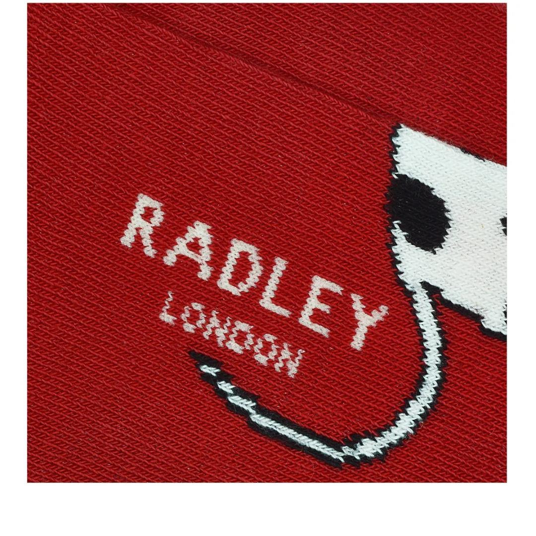 Radley Christmas Dogs 1Pk Dog Socks - Crimson